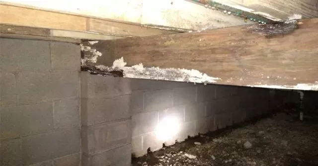 Picture of molded and rotted support beam in crawl space lacking a barrier